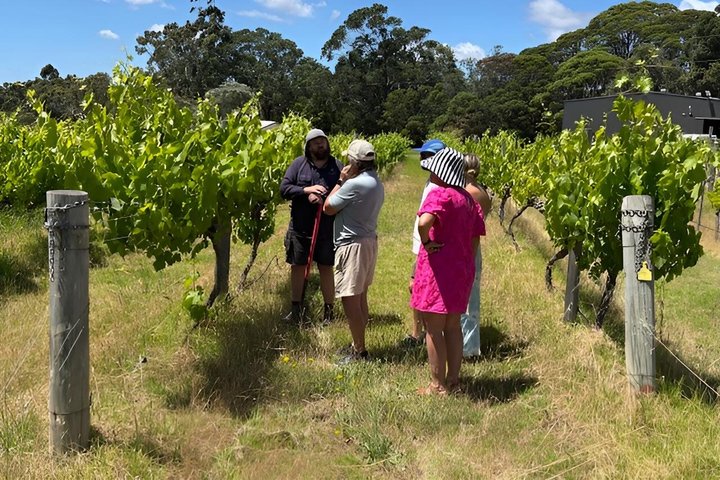 Margaret River Winery Tour with a'la carte lunch