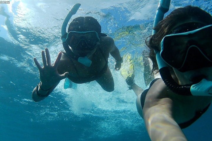 Sea Turtle Snorkel Tour