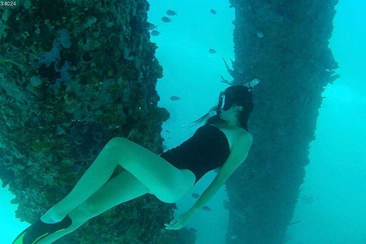 Sea Turtle Snorkel Tour