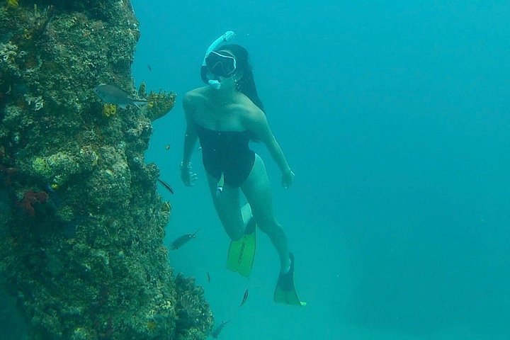 Sea Turtle Snorkel Tour