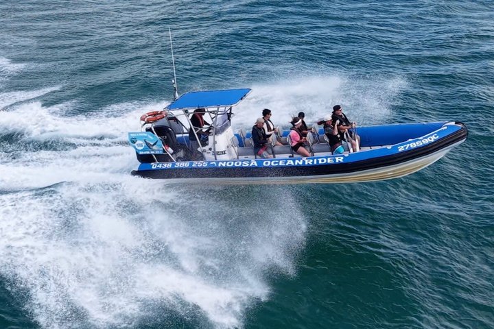 Noosa Whale Watching Cruise – Humpback Whale Adventure