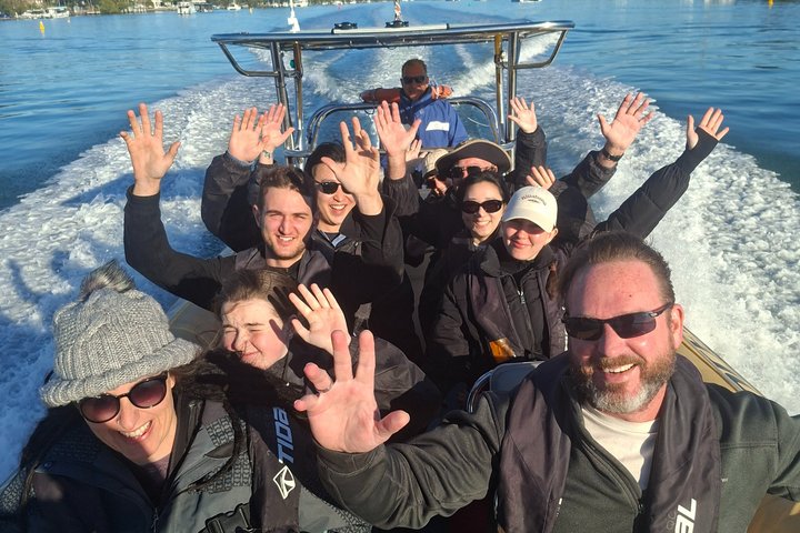 Noosa Whale Watching Cruise – Humpback Whale Adventure