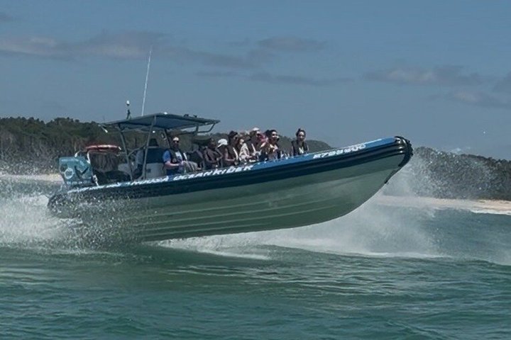 Noosa Whale Watching Cruise – Humpback Whale Adventure