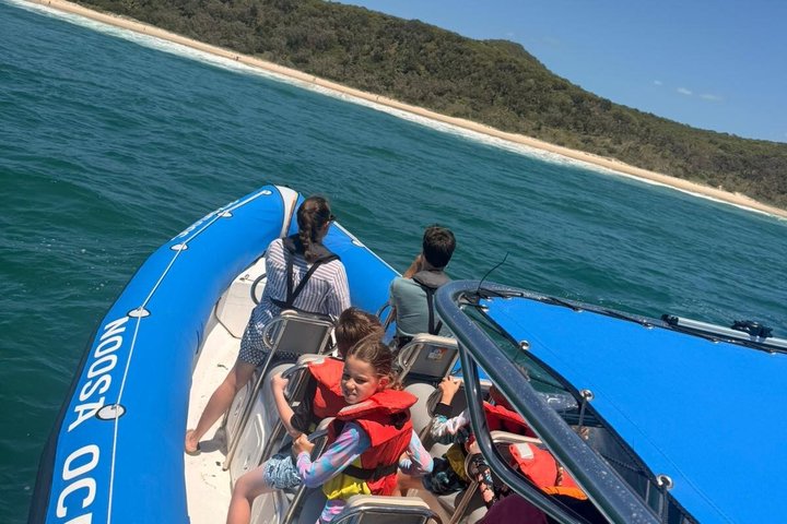 Noosa Whale Watching Cruise – Humpback Whale Adventure