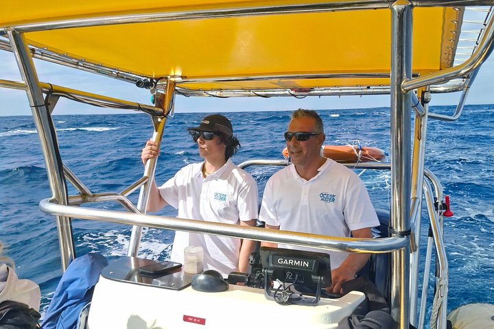 Noosa Whale Watching Cruise – Humpback Whale Adventure