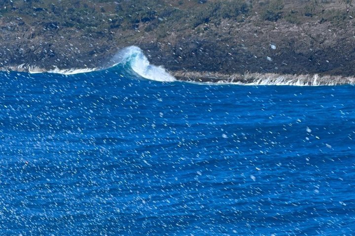 Noosa Whale Watching Cruise – Humpback Whale Adventure