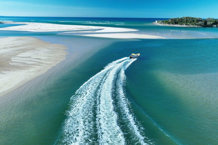 Noosa Whale Watching Cruise – Humpback Whale Adventure