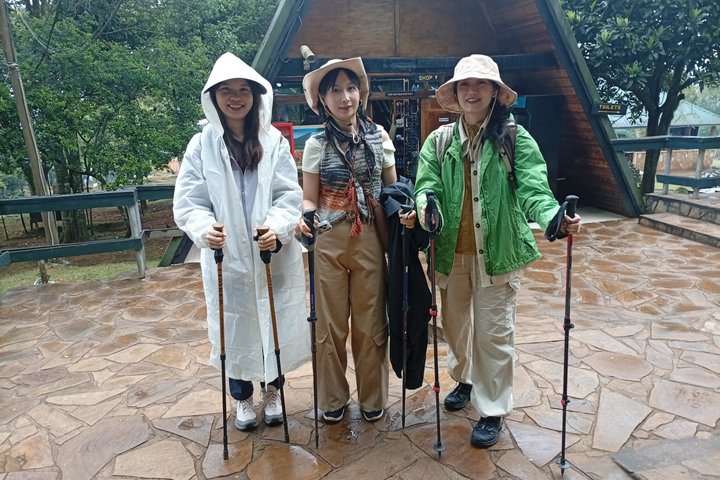 Kilimanjaro 1 Day Hike on the Marangu Route