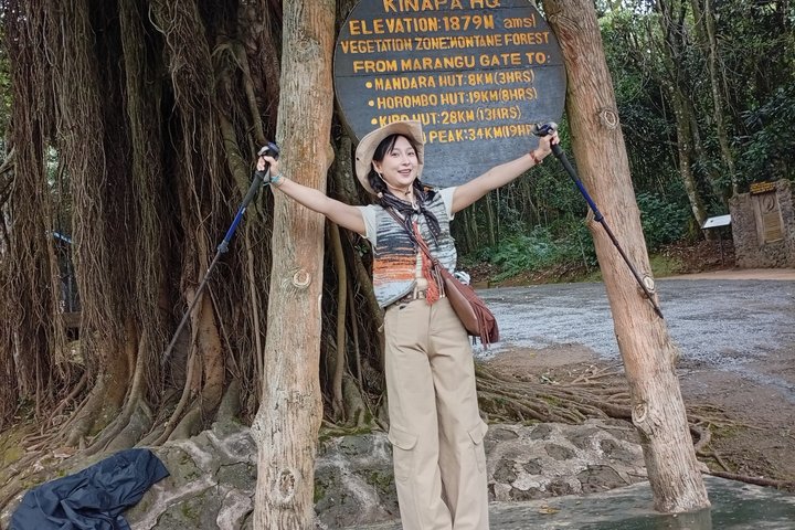 Kilimanjaro 1 Day Hike on the Marangu Route
