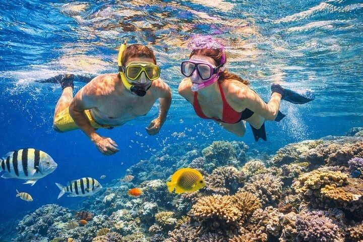 Tiran Island Snorkeling , Diving Cruise & Lunch - Sharm El Sheikh