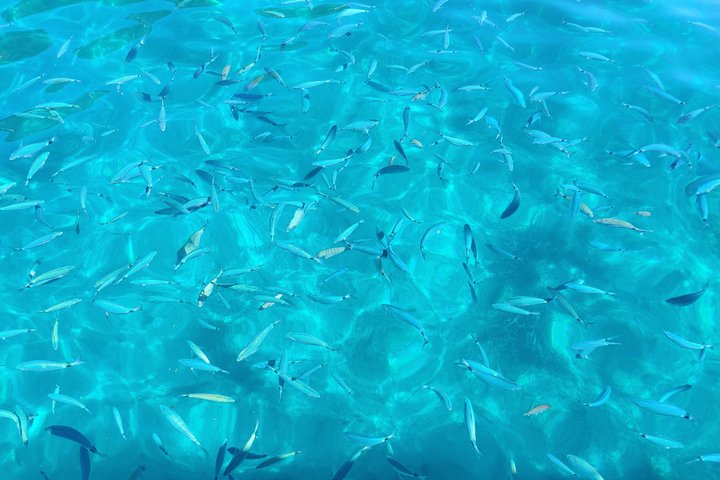 Private Sailing Cruise to Paxos and Antipaxos