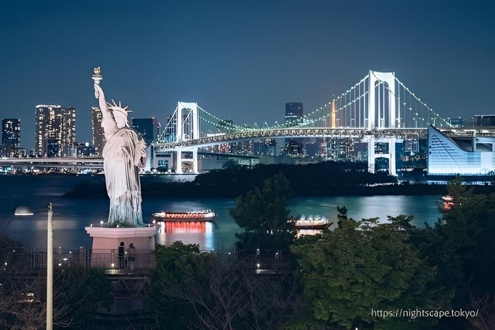Tokyo Private Night Tour by Van English Chauffeur