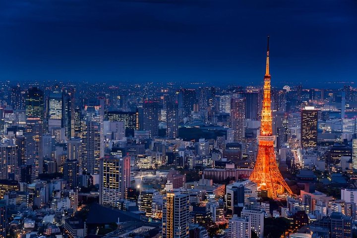 Tokyo Private Night Tour by Van English Chauffeur