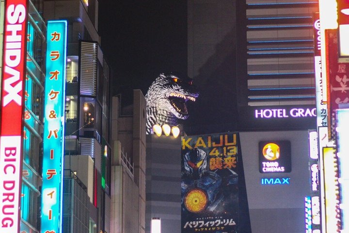 Tokyo Private Night Tour by Van English Chauffeur
