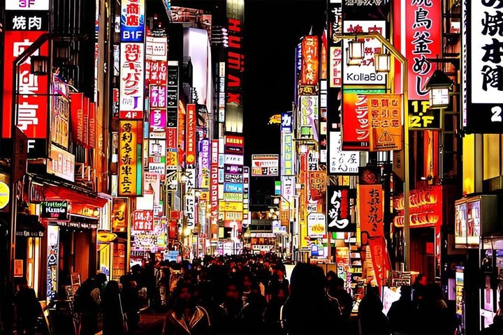 Tokyo Private Night Tour by Van English Chauffeur