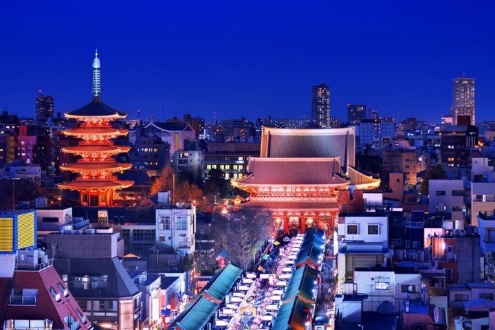 Tokyo Private Night Tour by Van English Chauffeur