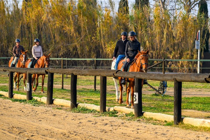 Horse Riding and Wine Tasting Experience