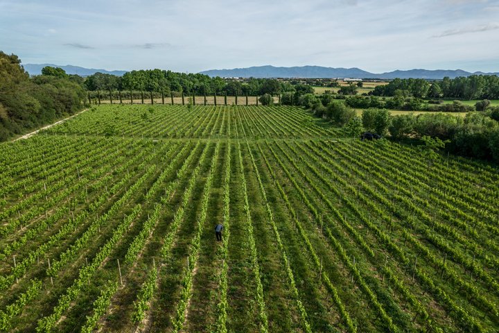 Horse Riding and Wine Tasting Experience