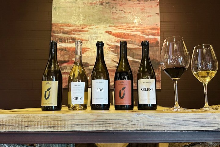 Vineyard walk and wine tasting in l’Empordà