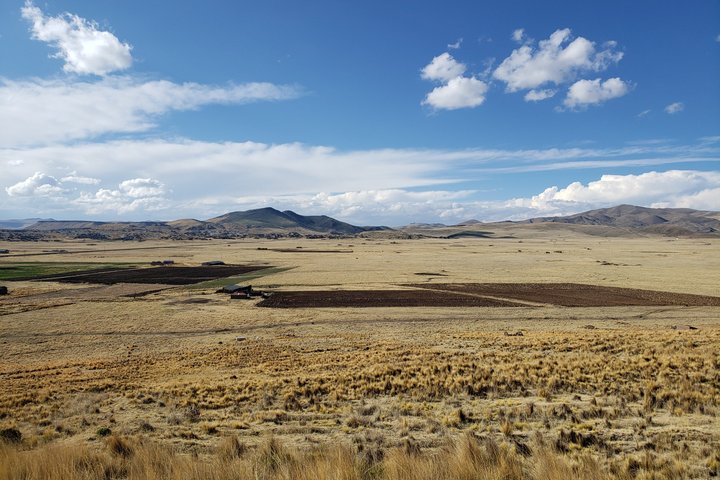 Private Transfer between Chivay and Puno