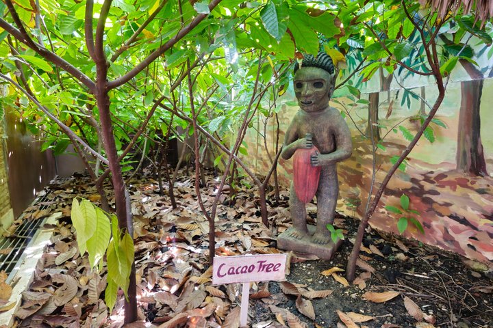 Puerto Plata City Tour with Private Guide, Rum,Chocolate.