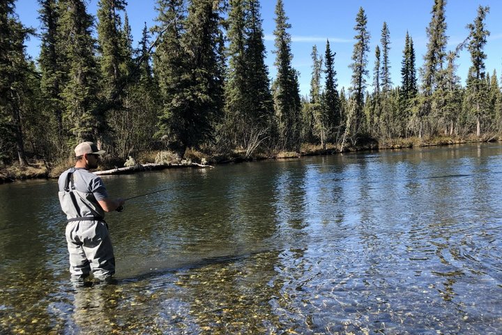 Guided Fishing Adventure On The Chena River By Boat