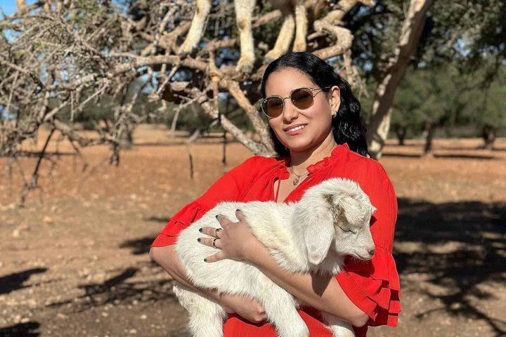 Agadir 3-in-1 Tour: Goats on Trees Souk El Had Crocoparc Tickets