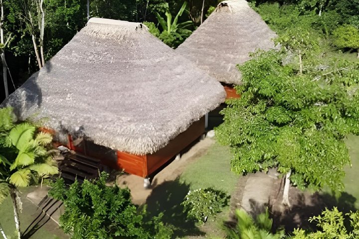 Yasuni National Park 3 days 2 nights in the Amazon of Ecuador,comfortable rooms