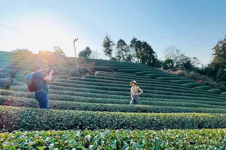 7 Hours Private Guided Tour Uji and Wazuka Matcha Farm