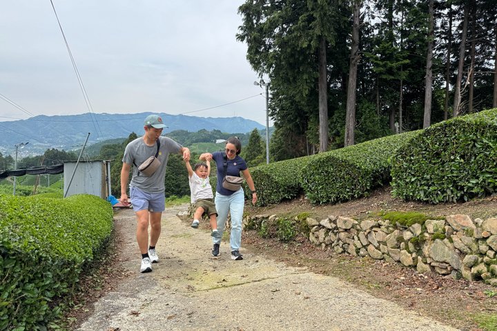 7 Hours Private Guided Tour Uji and Wazuka Matcha Farm