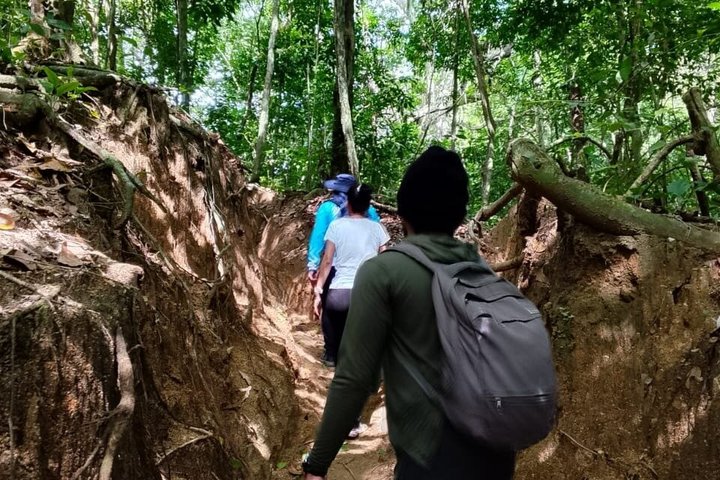 Private Tayrona Hike to Cabo San Juan: Bilingual Guide+Transport