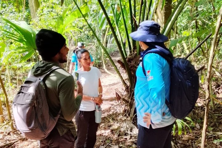 Private Tayrona Hike to Cabo San Juan: Bilingual Guide+Transport