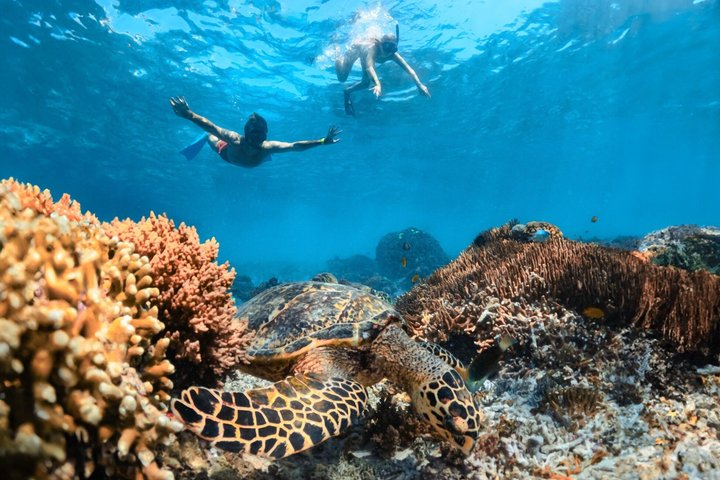 Bali to Nusa Lembongan Day Cruise with Snorkeling & Beach Club