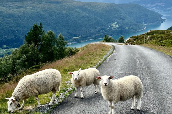 Olden: E-Bike Rental - Explore Norway's Fjords