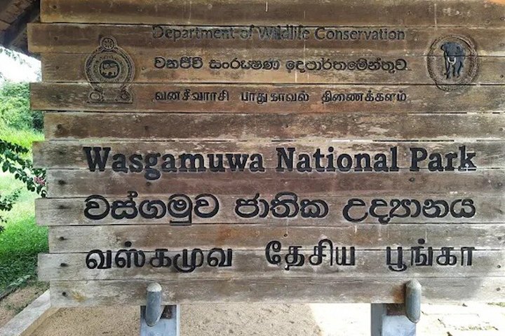 Wasgamuwa National Park Safari