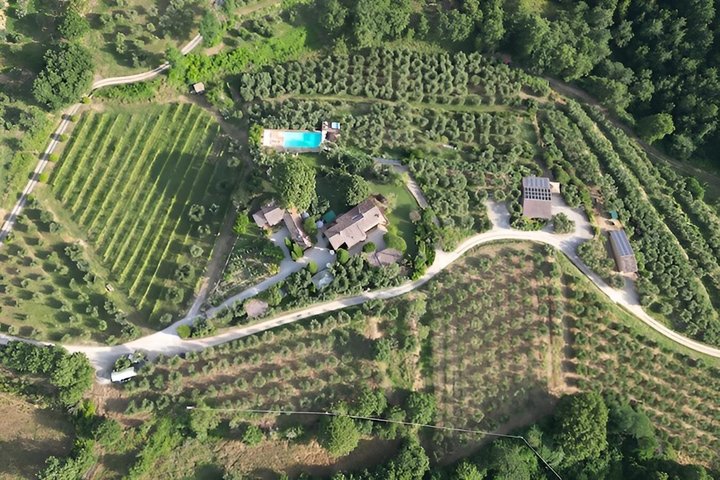Organic cooking class with a sommelier in an Olive and wine farm