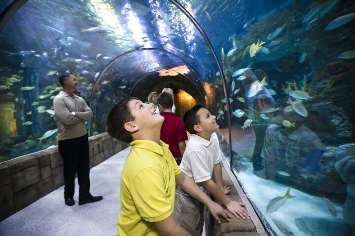 Audubon Aquarium and Insectarium Ticket