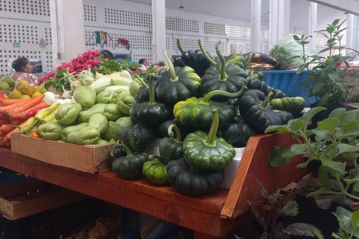 Valladolid Authentic Food Tour of Yucatan Flavors