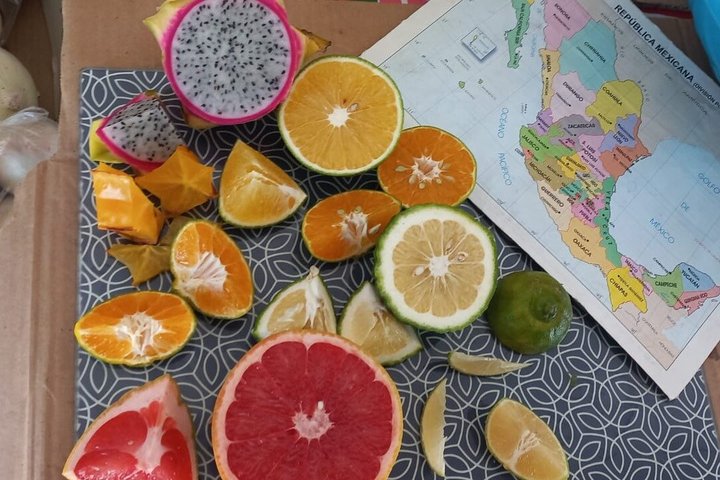 Valladolid Authentic Food Tour of Yucatan Flavors
