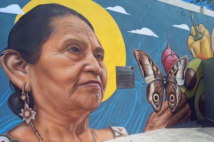 Valladolid Authentic Food Tour of Yucatan Flavors