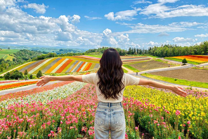 [Late Departure] Biei Best 5 Must-Visit Day Tour from Sapporo