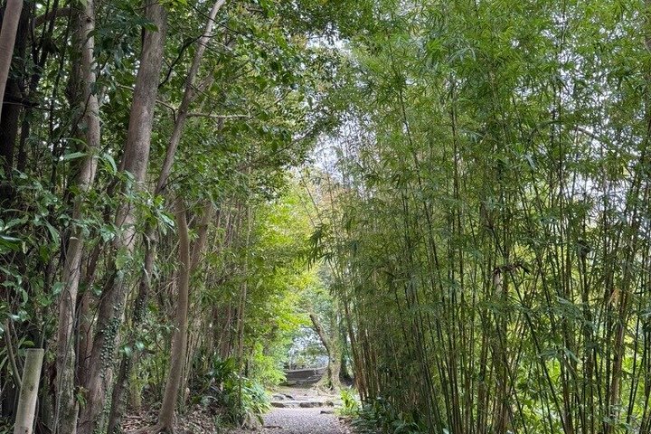 Private Kagoshima: Gardens, Shrines & Observatory by Expert Guide