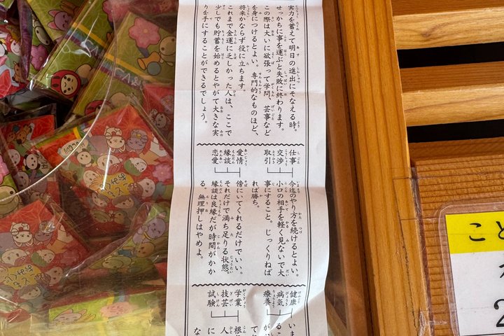 Private Kagoshima: Gardens, Shrines & Observatory by Expert Guide