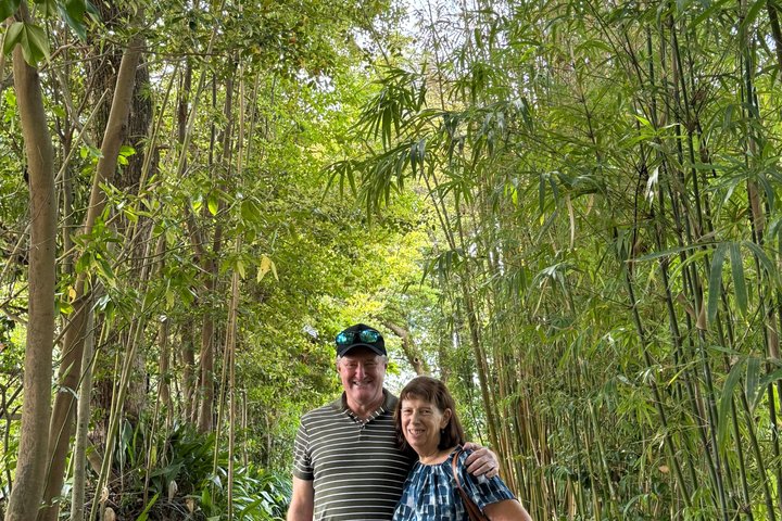 Private Kagoshima: Gardens, Shrines & Observatory by Expert Guide