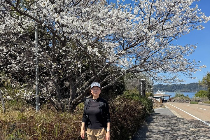 Private Kagoshima: Gardens, Shrines & Observatory by Expert Guide