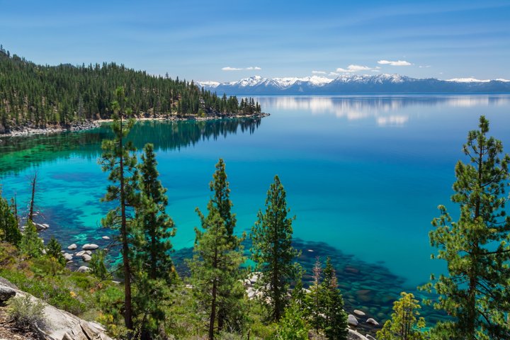 Lake Tahoe Half-Day Morning Guided Tour from Reno | Small Group