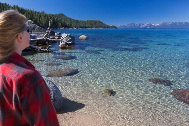 Lake Tahoe Half-Day Morning Guided Tour from Reno | Small Group