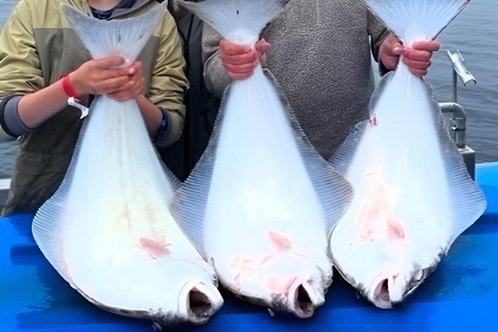 Halibut Fishing Charter