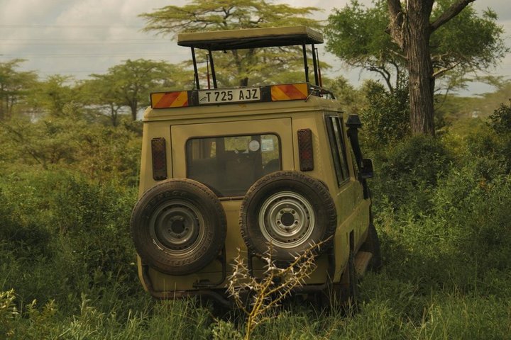 Dar es Salaam: 1-Day Mikumi National Park Safari with Free Pickup