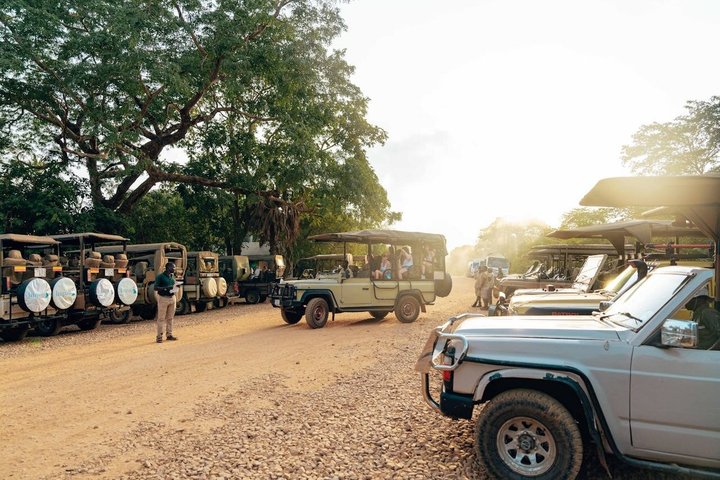 Dar es Salaam: 1-Day Mikumi National Park Safari with Free Pickup